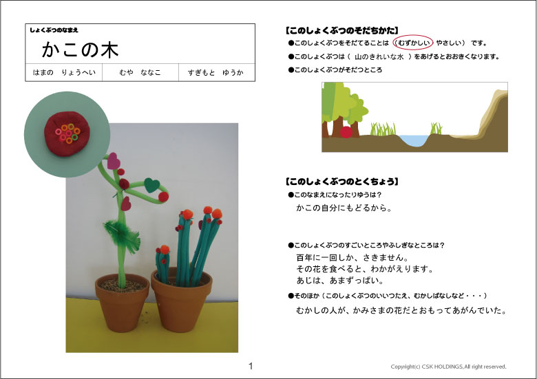 かこの木