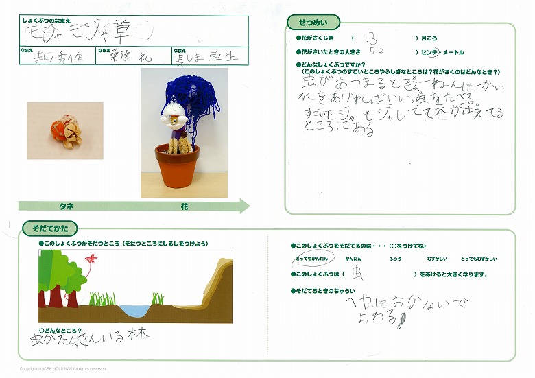 モジャモジャ草