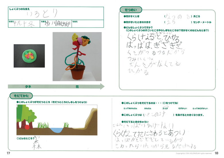 いろとり