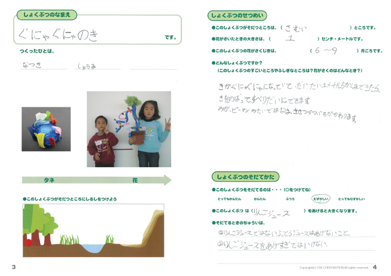 ぐにゃぐにゃのき