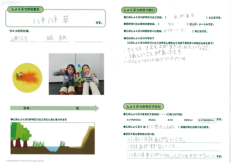 ハネハネ