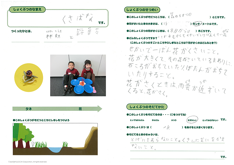 くさばな