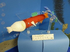ユキクイウオ